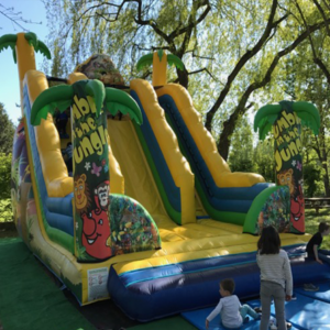 Toboggan Jungle